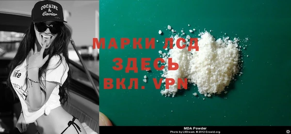 твердый Новозыбков