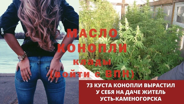 крисы Новокубанск