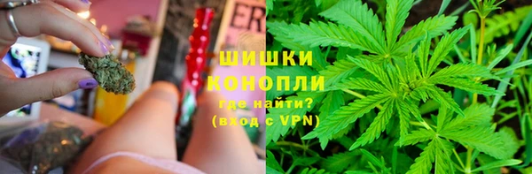 ПСИЛОЦИБИНОВЫЕ ГРИБЫ Алексеевка
