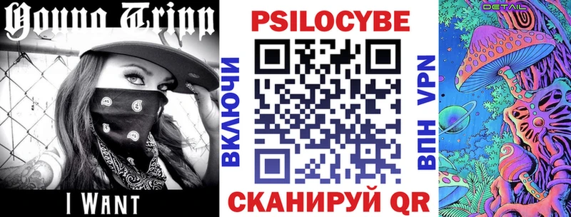 Псилоцибиновые грибы мухоморы дарк нет состав Полярный купить наркотик